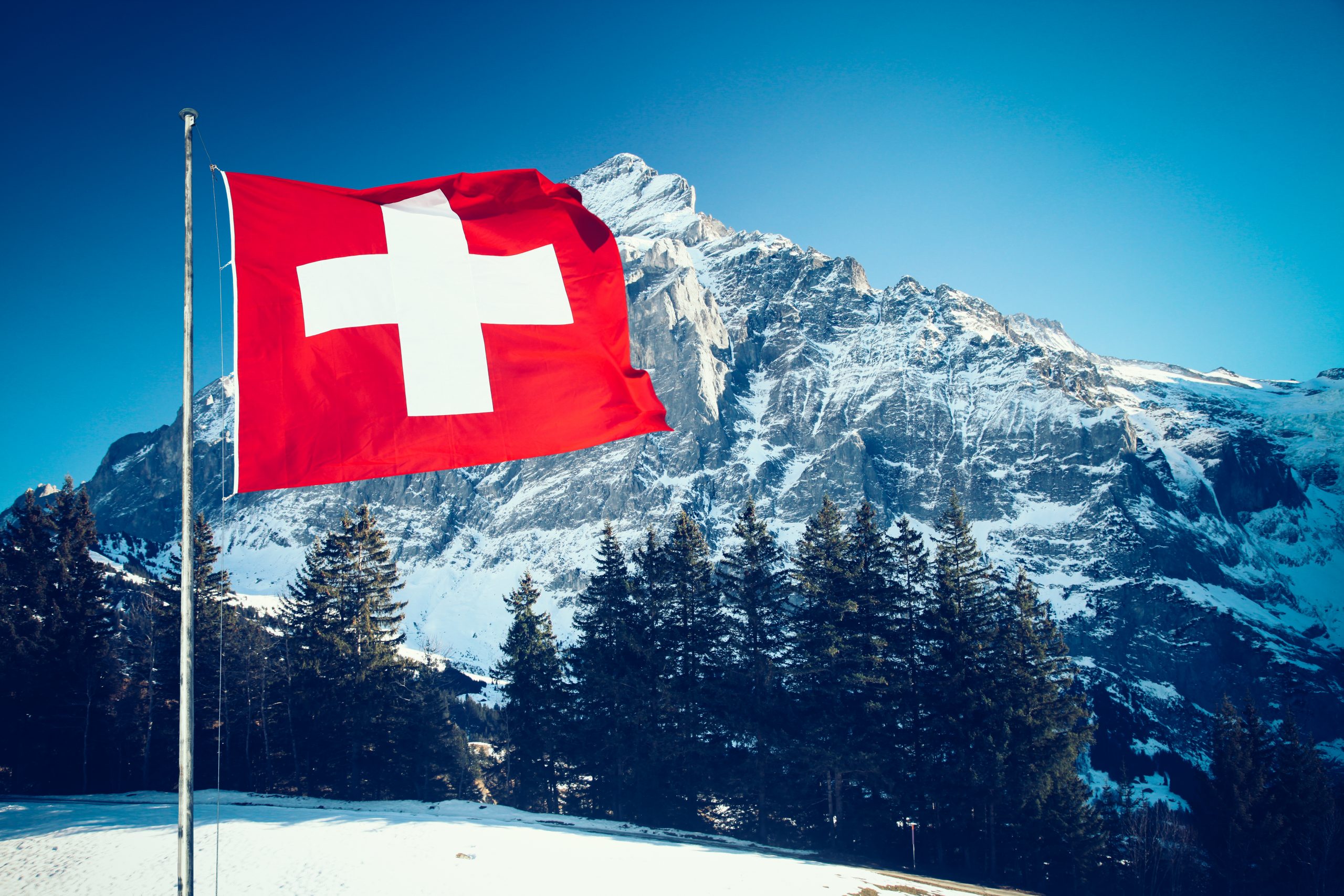 Occupation Types for Switzerland Registration – Global Mobility Solutions