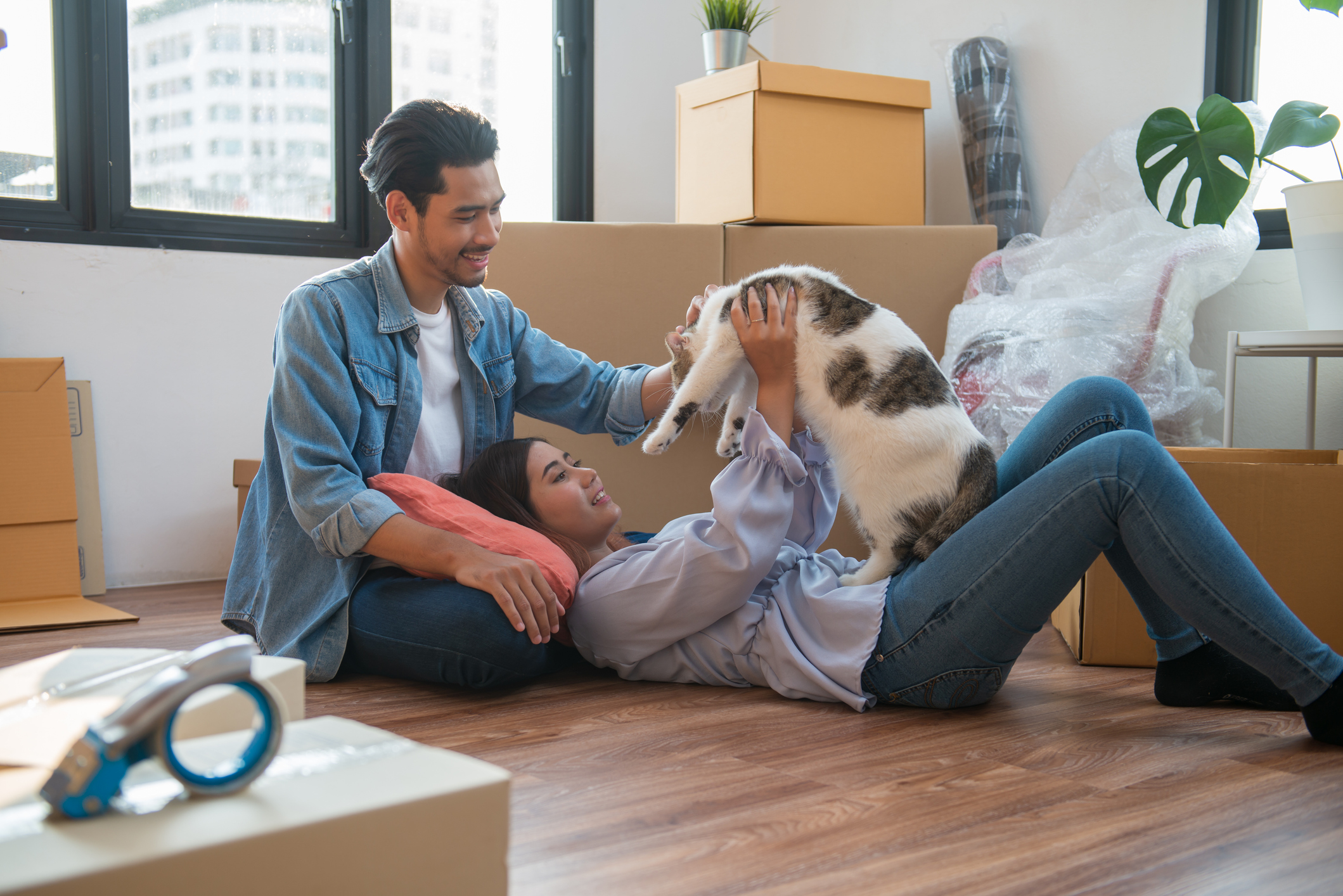 young couple in their new home playing with dogs, while unpacking