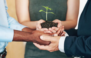 group of business people holding a flower in soil to display sustainability