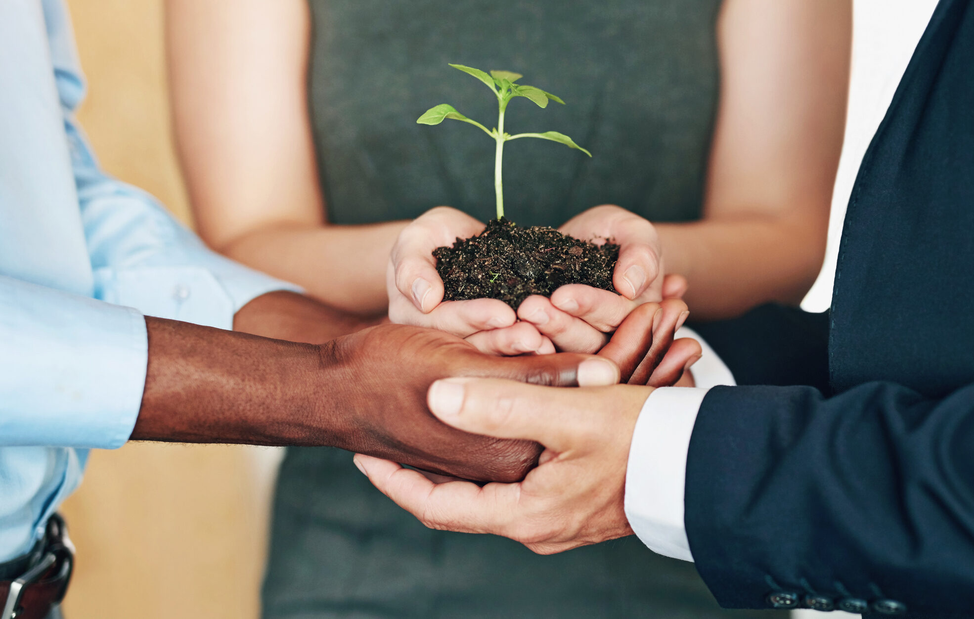 group of business people holding a flower in soil to display sustainability